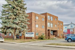 Photo 35: 304 319 2 Avenue: Strathmore Apartment for sale : MLS®# A2010369
