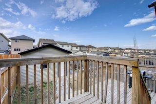 Photo 40: 39 Panora Square NW in Calgary: Panorama Hills Semi Detached for sale : MLS®# A1244306