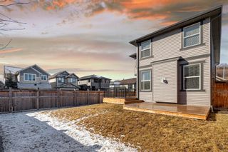 Photo 32: 452 Chaparral Valley Way SE in Calgary: Chaparral Detached for sale : MLS®# A1198558