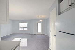 Photo 25: 30 156 Canoe Drive SW: Airdrie Row/Townhouse for sale : MLS®# A1166246