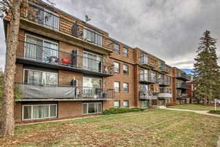 Photo 22: 203 510 58 Avenue SW in Calgary: Windsor Park Apartment for sale : MLS®# A2086438