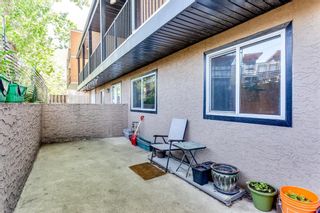 Photo 15: 101 1059 5 Avenue NW in Calgary: Sunnyside Apartment for sale : MLS®# A1163514