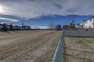 Photo 41: 31 Chapalina Crescent SE in Calgary: Chaparral Detached for sale : MLS®# A1165294