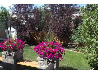 Photo 19: 259 CHAPALINA Terrace SE in Calgary: Chaparral Residential Detached Single Family for sale : MLS®# C3648865
