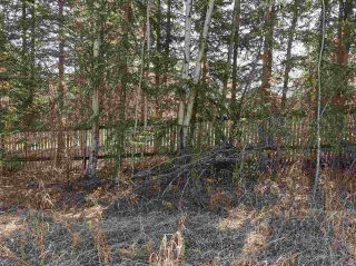 Photo 2: 12925 CHERRY Road: Charlie Lake Land for sale in "CHARLIE LAKE" (Fort St. John (Zone 60))  : MLS®# R2519694