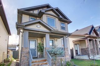 Photo 42: 193 Skyview Ranch Drive NE in Calgary: Skyview Ranch Detached for sale : MLS®# A1235808