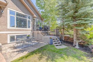 Photo 46: 257 Discovery Ridge Way SW in Calgary: Discovery Ridge Detached for sale : MLS®# A2067395
