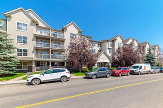 Photo 1: 315 2000 Applevillage Court SE in Calgary: Applewood Park Apartment for sale : MLS®# A2064213