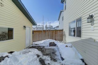 Photo 23: 172 COVEPARK Crescent NE in Calgary: Coventry Hills House for sale : MLS®# C4171759