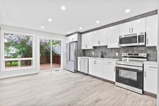 Main Photo: 309 Whitehill Place NE in Calgary: Whitehorn Semi Detached (Half Duplex) for sale : MLS®# A2051627