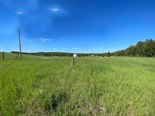Photo 6: 14 James River Crossing: Rural Clearwater County Residential Land for sale : MLS®# A1224150