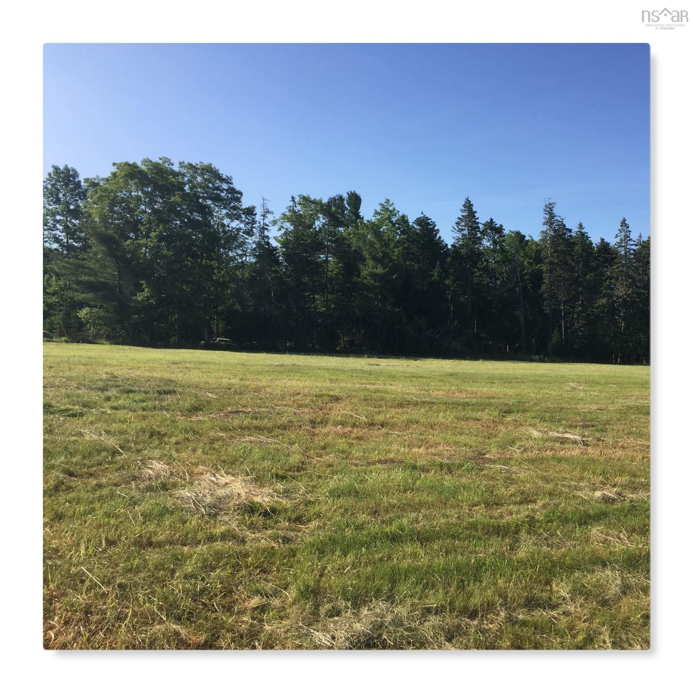 Main Photo: Lot 8 Pine Meadows in Pine Grove: 405-Lunenburg County Vacant Land for sale (South Shore)  : MLS®# 202323677