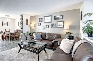 Photo 6: 122 Promenade Way SE in Calgary: McKenzie Towne Row/Townhouse for sale : MLS®# A1185856