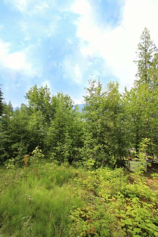 Photo 15: 3462 Eagle Bay Road in Blind Bay: Land Only for sale : MLS®# 10212583