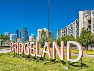 Photo 46: 424 6 Street NE in Calgary: Bridgeland/Riverside Detached for sale : MLS®# A2013098