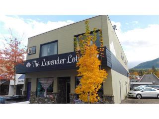 Photo 1: 140 Hudson Avenue in Salmon Arm: DOWNTOWN CORE Industrial for sale : MLS®# 10125590