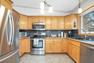 Photo 8: 19 Dunn Close: Red Deer Semi Detached (Half Duplex) for sale : MLS®# A2012768