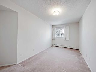 Photo 22: 2310 2310 Hawksbrow Point NW in Calgary: Hawkwood Apartment for sale : MLS®# A2122809