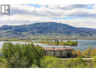 Photo 70: 4004 39TH Street in Osoyoos: House for sale : MLS®# 10310534