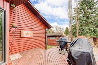 Photo 41: 324 Coach Grove Place SW in Calgary: Coach Hill Detached for sale : MLS®# A2121292