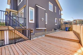 Photo 43: 163 Nolancrest Rise NW in Calgary: Nolan Hill Detached for sale : MLS®# A1125952