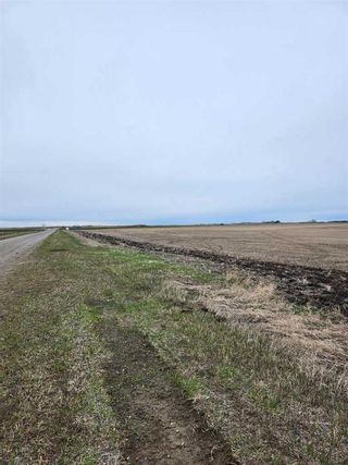 Photo 7: TWP 225: Rural Wheatland County Residential Land for sale : MLS®# A2135250