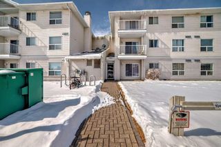 Photo 25: 202 5555 Falsbridge Drive NE in Calgary: Falconridge Apartment for sale : MLS®# A2118008
