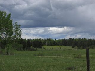 Photo 11: 103, 5227 TWP RD 320: Rural Mountain View County Land for sale : MLS®# C4299948
