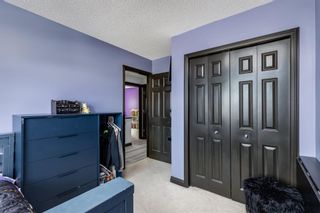 Photo 25: 2304 Sagewood Heights SW: Airdrie Detached for sale : MLS®# A2069221