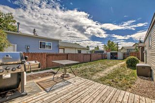 Photo 20: 208 Big Hill Circle SE: Airdrie Detached for sale : MLS®# A2080349
