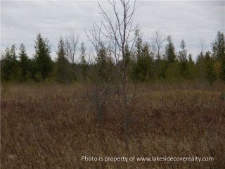 Photo 15: 2489 Concession Road 3 Road in Ramara: Brechin Property for sale : MLS®# X3371303