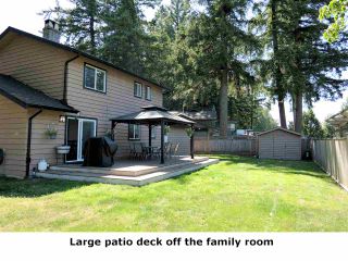 Photo 18: 3717 196A Street in Langley: Brookswood Langley House for sale : MLS®# R2392298