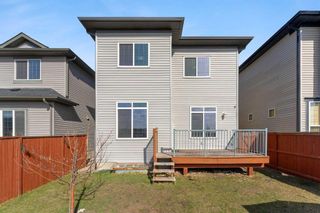Photo 39: 51 Taracove Estate Drive NE in Calgary: Taradale Detached for sale : MLS®# A2126069