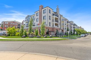 Photo 1: 4107 215 Legacy Boulevard SE in Calgary: Legacy Apartment for sale : MLS®# A1250338