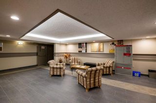 Photo 22: 308 816 89 Avenue SW in Calgary: Haysboro Apartment for sale : MLS®# A1228379