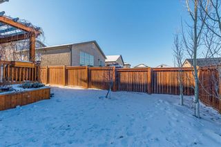 Photo 42: 68 Loewen Place in Winnipeg: South Pointe Residential for sale (1R)  : MLS®# 202200152