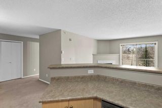 Photo 8: 320 4000 Citadel Meadow Point NW in Calgary: Citadel Apartment for sale : MLS®# A2123539