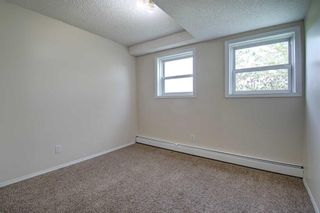 Photo 28: 228 101 Big Hill Way SE: Airdrie Apartment for sale : MLS®# A2138868