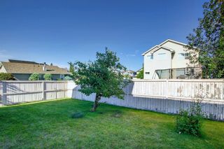 Photo 47: 253 Edgebrook Grove NW in Calgary: Edgemont Detached for sale : MLS®# A1252391