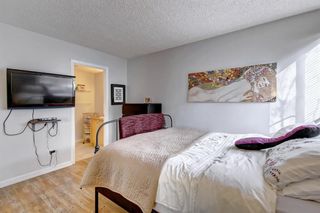 Photo 12: 8 6827 Centre Street NW in Calgary: Huntington Hills Apartment for sale : MLS®# A1133167