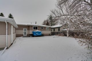 Photo 18: 4020 5 Avenue SW in Calgary: Wildwood Detached for sale : MLS®# A1048141