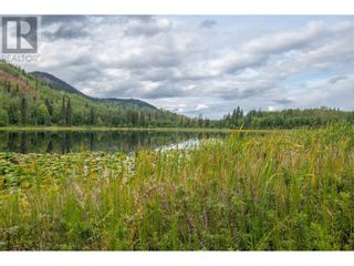 Photo 26: 1755 HUDSON BAY MOUNTAIN ROAD in Smithers: House for sale : MLS®# R2813305