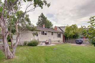 Photo 39: 3531 35 Avenue SW in Calgary: Rutland Park Detached for sale : MLS®# A1059798