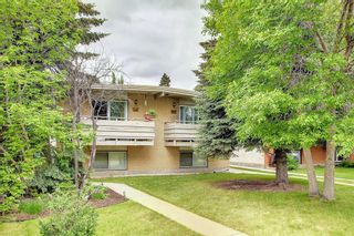 Photo 34: 435 37 Street SW in Calgary: Spruce Cliff Full Duplex for sale : MLS®# A1231113