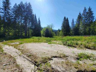 Photo 4: 12767 CARDINAL STREET in Mission: Vacant Land for sale : MLS®# R2844078