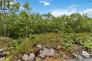 Photo 16: Lot 6 Maple Ridge Drive in White Point: Vacant Land for sale : MLS®# 202315187