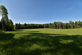 Photo 33: BOURGON ROAD in Smithers: Smithers - Rural Land for sale (Smithers And Area (Zone 54))  : MLS®# R2700048