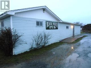 Photo 2: 24 Fourth Street in Bell Island: Business for sale : MLS®# 1255896