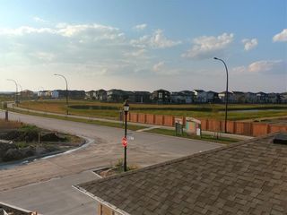 Photo 12: 216 McCrindle Bay in Winnipeg: House for sale : MLS®# 202325698