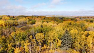 Photo 5: Lot 4 Elkstone Estates in Rural Rocky View County: Rural Rocky View MD Detached for sale : MLS®# A2068531